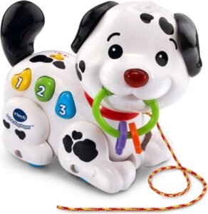 VTech Pull and Sing Puppy
